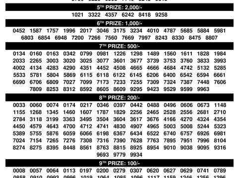 Check Bhagyathara BT-26 Result Kerala State 27.10.25