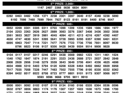 Check Karunya Plus KN-595 Result Kerala State 30.10.25