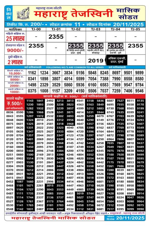 Maharashtra Tejaswini Monthly Lottery Result 20.11.25