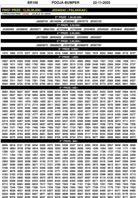 Pooja Bumper BR-106 Lottery Result Today