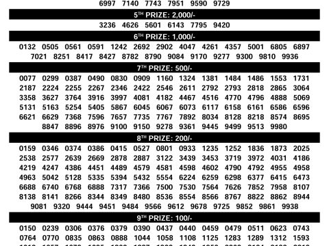 Sthree Sakthi SS-497 Kerala Lottery Result 09.12.25