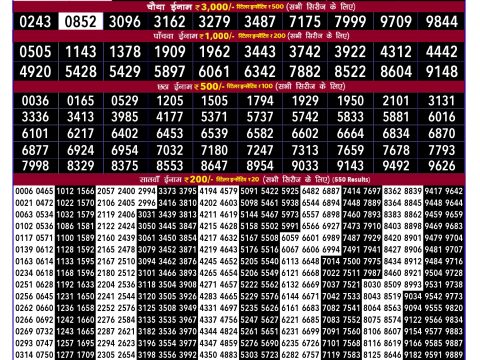 Rajshree 100 Monthly Lottery Result Today 05.03.26