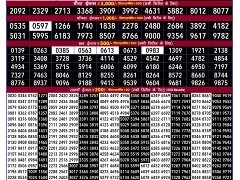 Rajshree 100 Monthly Lottery Result Today 02.07.26