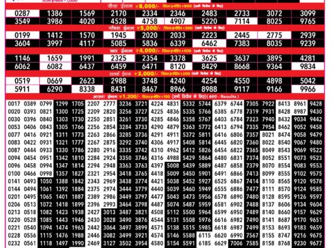 Rajshree 500 Monthly Lottery Result 11.08.26