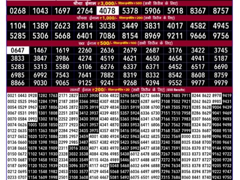 Rajshree 100 Monthly Lottery Result Today 06.08.26