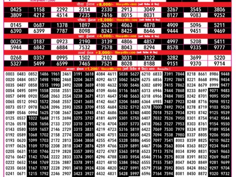 Rajshree 500 Monthly Lottery Result Today 08.09.26
