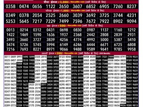 Rajshree 100 Monthly Lottery Result Today 03.09.26