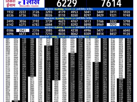 Rajshree 300 Monthly Lottery Result Today 20.10.26