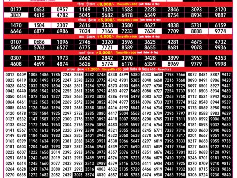 Rajshree 500 Monthly Lottery Result Today 13.10.26